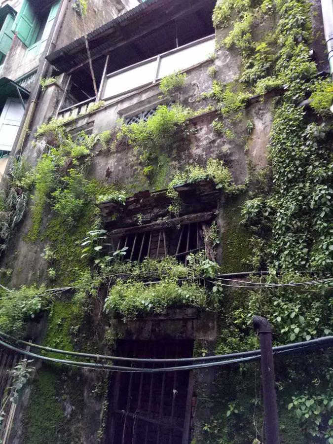 Baobabed Hostel Yangon, Myanmar Екстер'єр фото