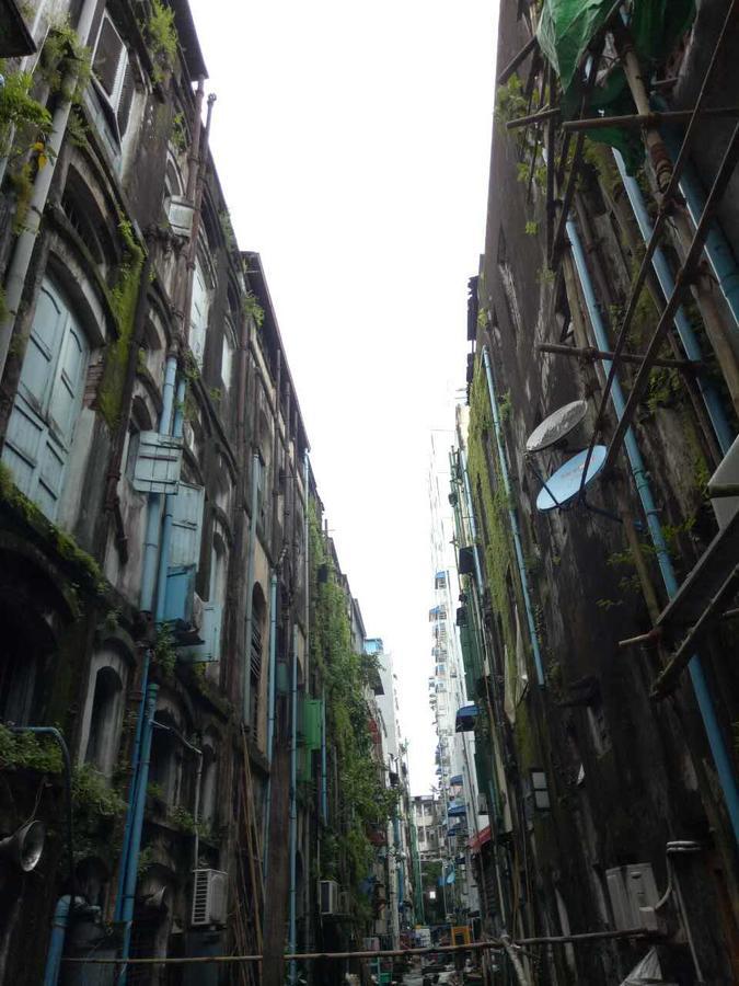 Baobabed Hostel Yangon, Myanmar Екстер'єр фото